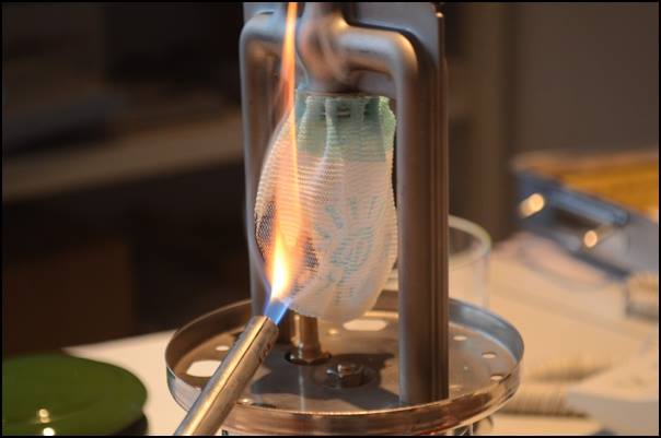 coleman335-1972-7_10