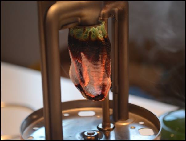 coleman335-1972-7_11