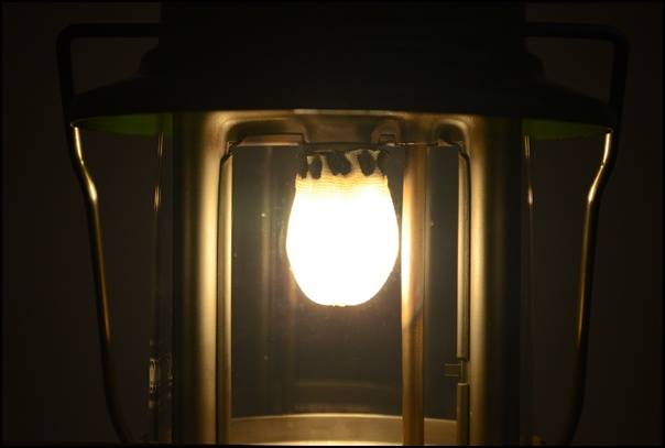 coleman335-1972-7_12