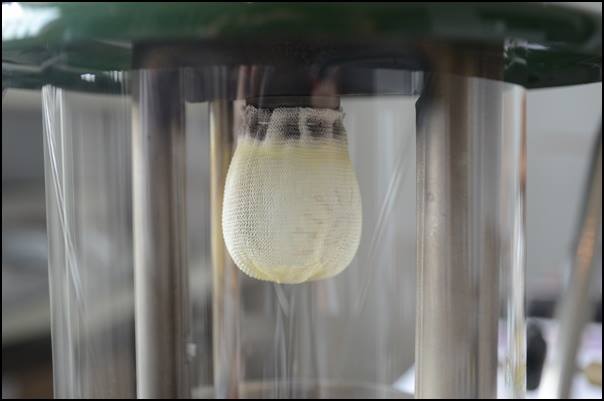 coleman335-1972-7_15