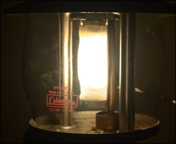 coleman639cpr-1984-1_12