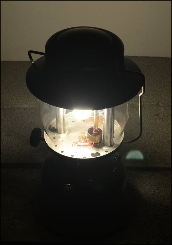 coleman639cpr-1984-1_14