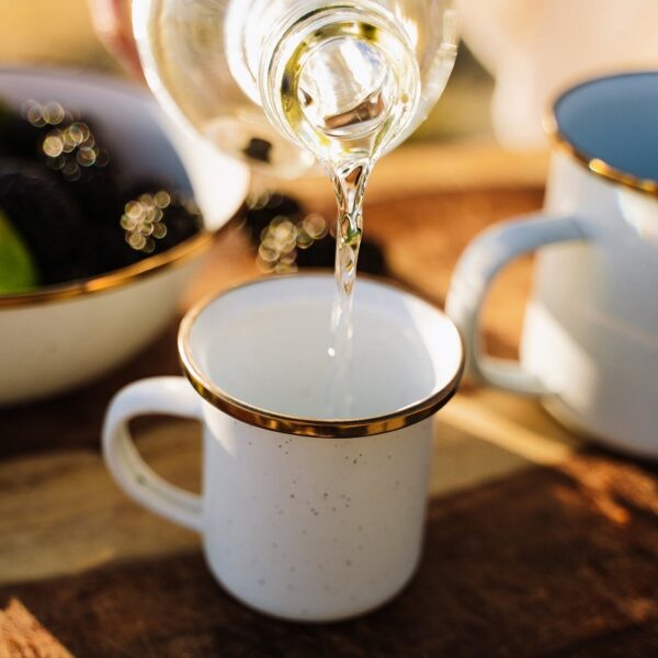 BAREBONES 琺瑯杯組 2入 / 4oz 迷你琺瑯杯  Enamel Cup (16oz)  CKW-375 / CKW-428