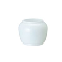 Coleman #3113玻璃燈罩 203654