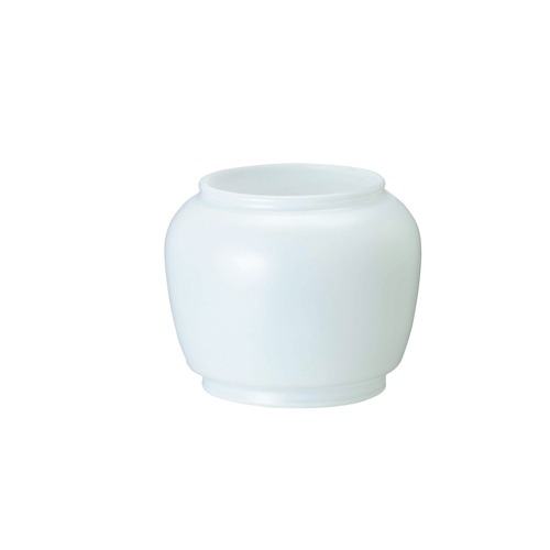 Coleman #3113玻璃燈罩 203654