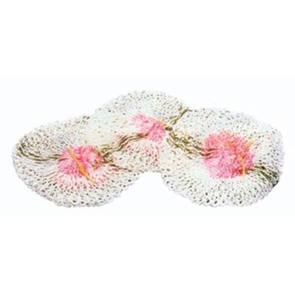 Coleman Lumo燈蕊(3入) CM-69532