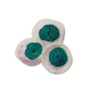 Snow Peak 燈芯-S(3入) GP-001