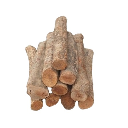 OHO 荔枝燃木 30cm 18kg裝 62CW3LC18