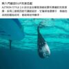 AZTRON 鋁合金四節式划槳 STYLE / SUP / AC-P113