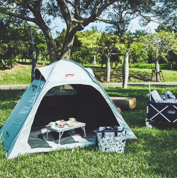 CM-18703 9 CM-18703 9