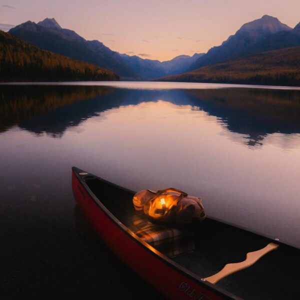 LIV-145 12 LIV-145 12