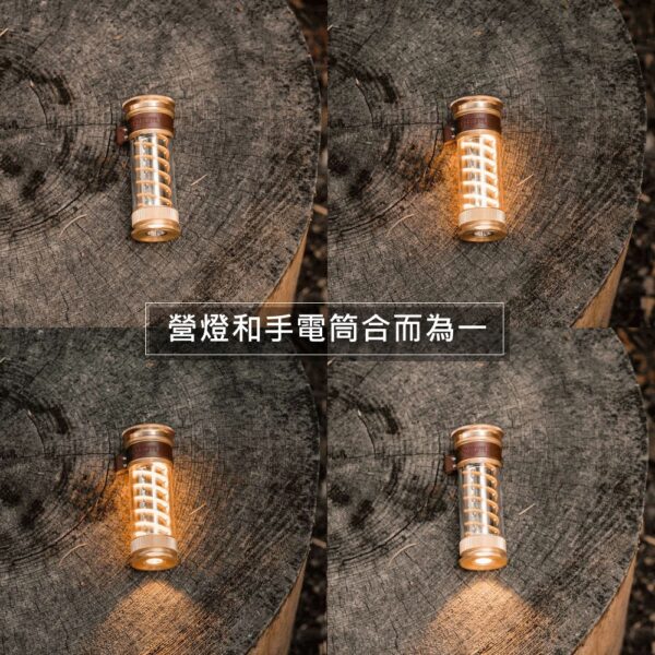 LIV-145 16 LIV-145 16