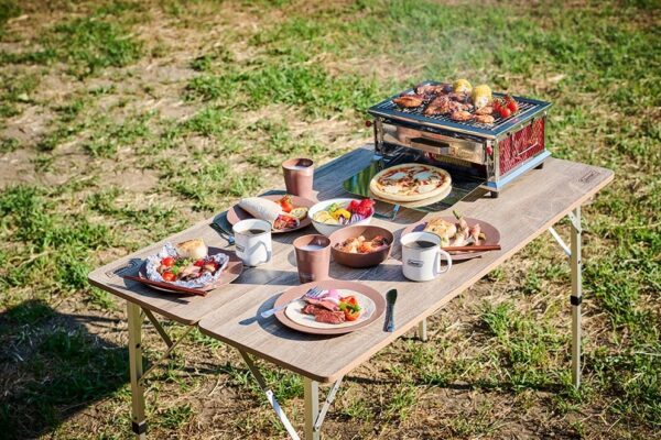 Coleman Pro酷蜘蛛桌上型烤肉箱 / 烤肉架 2196280 / CM-96280