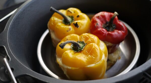 Mount Rakaso 荷蘭鍋S30 琺瑯鑄鐵鍋 / 鑄鐵鍋 / 62DVS30