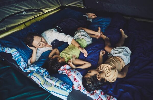 CM-27257 CM-27256 15