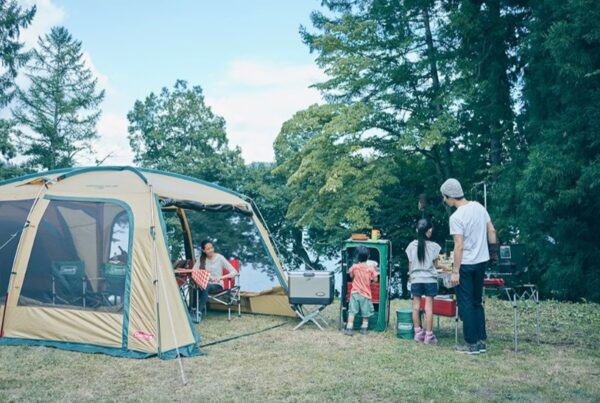 Coleman TOUGH SCREEN 網屋 / 400 / CM-31577