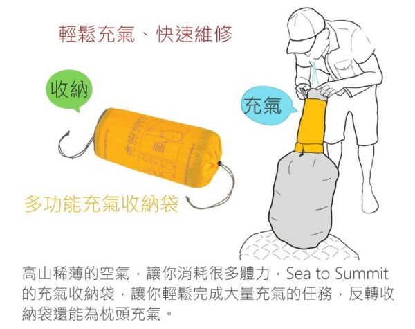 STSAMULINS_R STSAMULINS_R 7