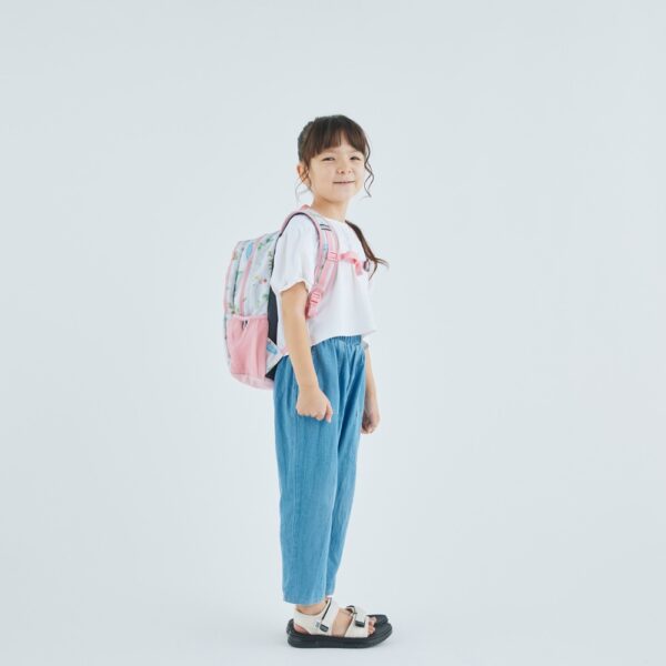 CM-13923 CM-33084 11