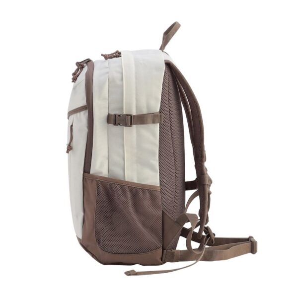 CM-13940 CM-38983 10