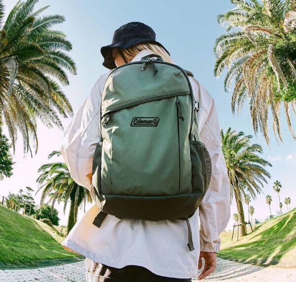 CM-38991 CM-13994 17