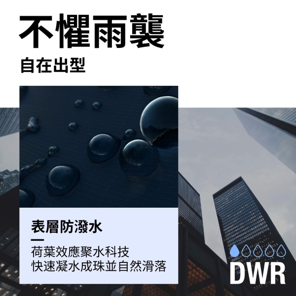 The North Face吊牌_DWR TNF