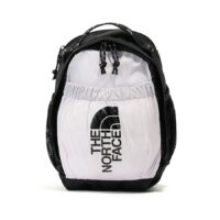 The North Face 4.6L LOGO迷你後背包 NF0A52VR80U_01