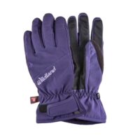 Wildland 荒野 女 彈性PR防風防水手套 0A22001-53_01