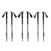 Black Diamond Trail Trekking Poles 登山杖 BD110045_01